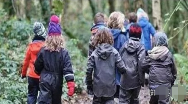 英國森林幼兒園日常教學給我國學前教育的啟示