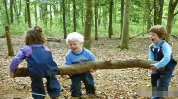 英國森林幼兒園日常教學給我國學前教育的啟示