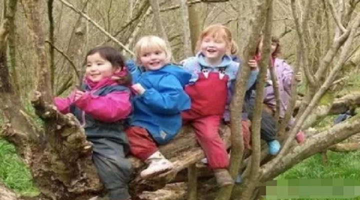 英國森林幼兒園日常教學給我國學前教育的啟示